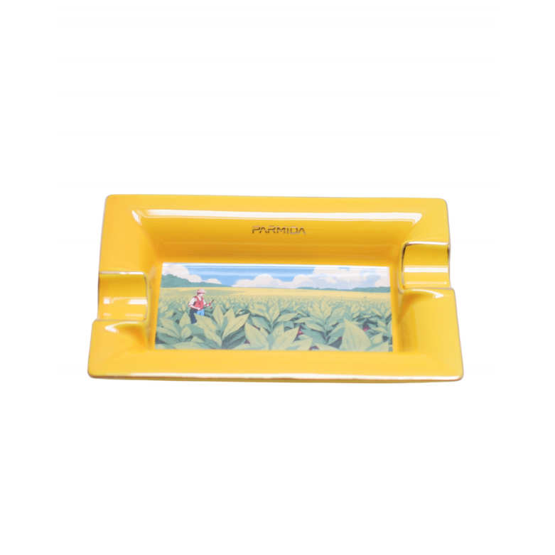 Parmida Küllük PKL0260